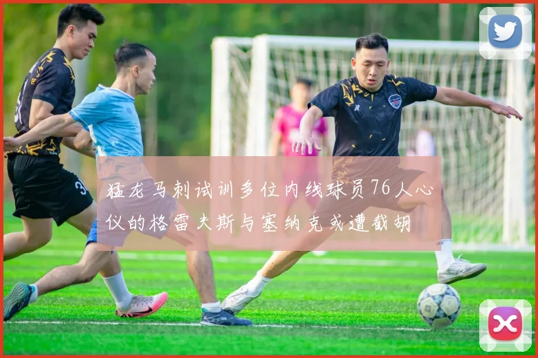 猛龙马刺试训多位内线球员76人心仪的格雷夫斯与塞纳克或遭截胡